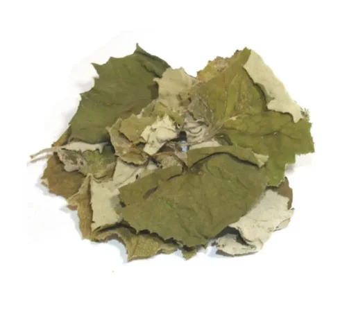 Мати й мачуха листя сушене - фото № 1