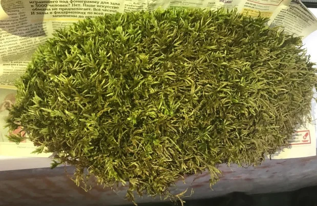 Закупаемо сушені лікарські трави дрібним оптом - фото № 5