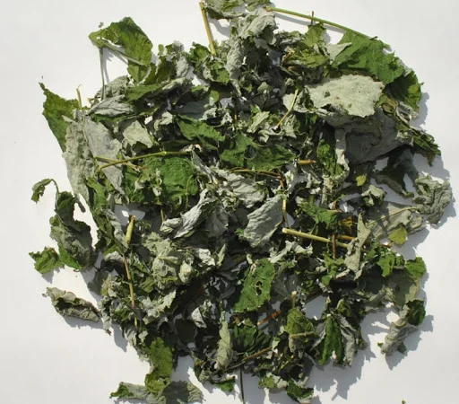 Малина листя сушене куплю - фото № 1