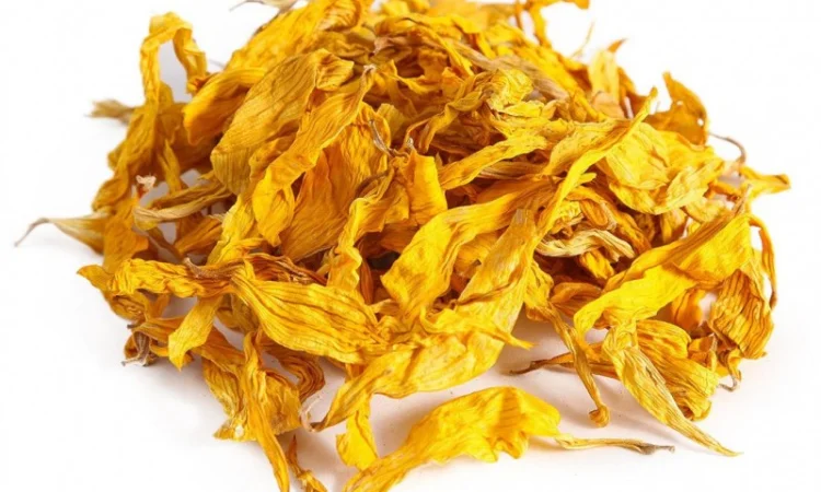 Куплю пелюстку соняшника - фото № 1