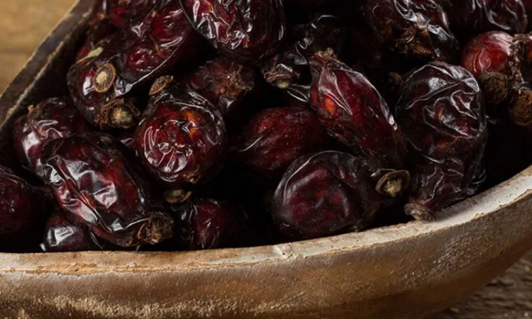 Куплю сухие плоды бузины.рябины красной. шиповника. боярышника.Оплата договорная - фото № 1