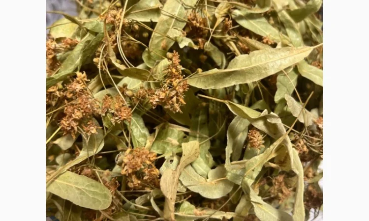 Продам цвіт липи. Ідеальний стан та зберігання - фото № 3