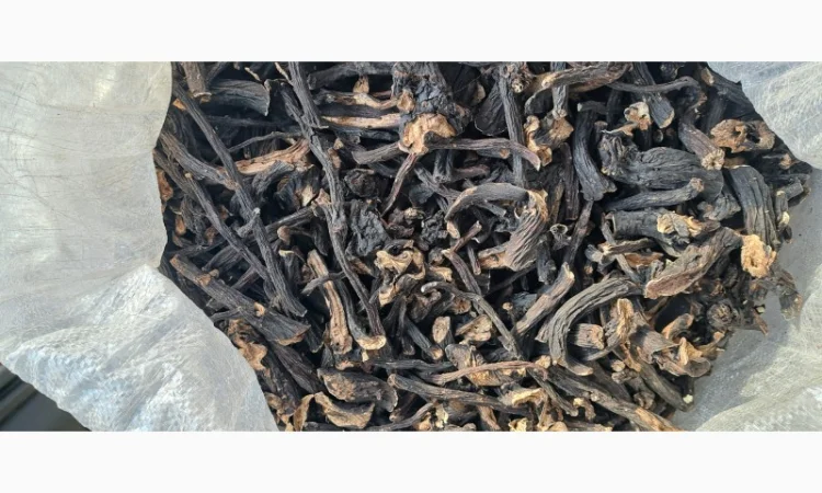 Куплю корінь живокосту - фото № 1