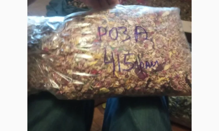 Лікарскі Рослини - фото № 1