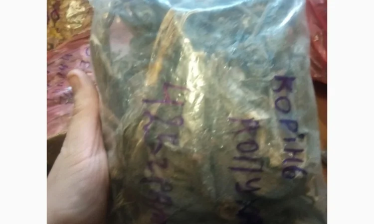 Лікарскі Рослини - фото № 10