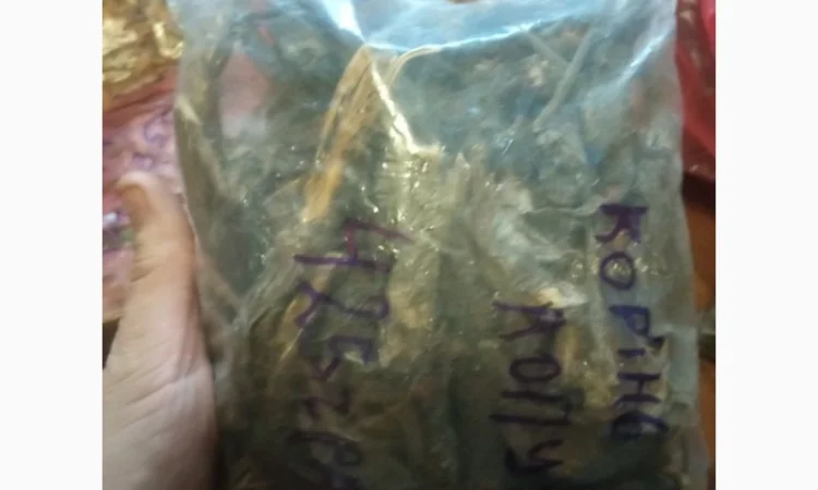 Лікарскі Рослини - фото № 11