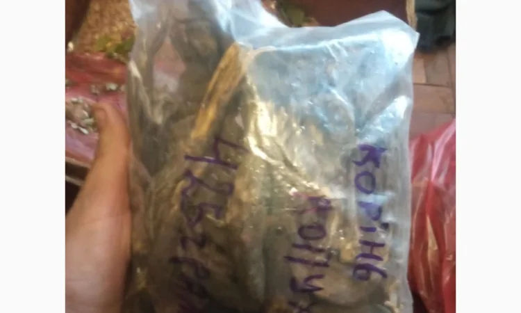 Лікарскі Рослини - фото № 12