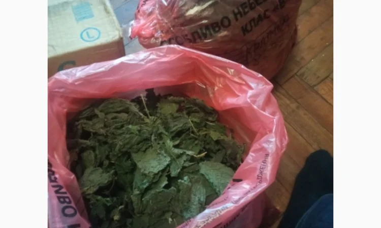 Лікарскі Рослини - фото № 17