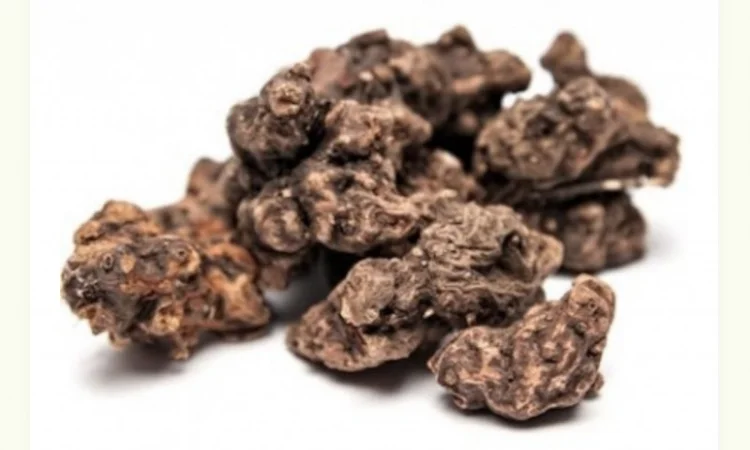 Куплю корінь калгана - фото № 1