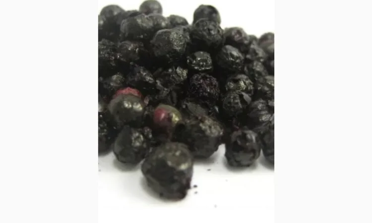 Закупаем Сухую ягоду бузины. - фото № 1