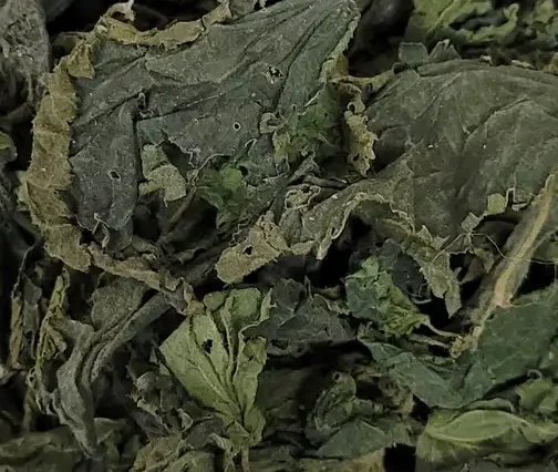 Куплю кропиву - фото № 1