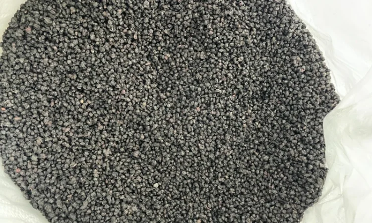 Куплю Лікарські Рослини - фото № 1