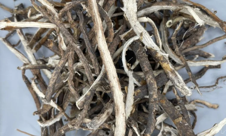 Куплю Лікарські Рослини - фото № 3