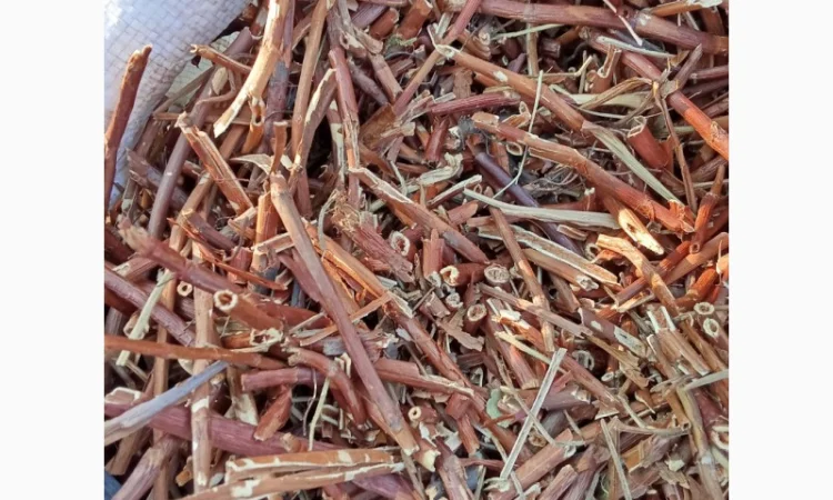 Продам оптом лікарські рослини від 1т - фото № 5