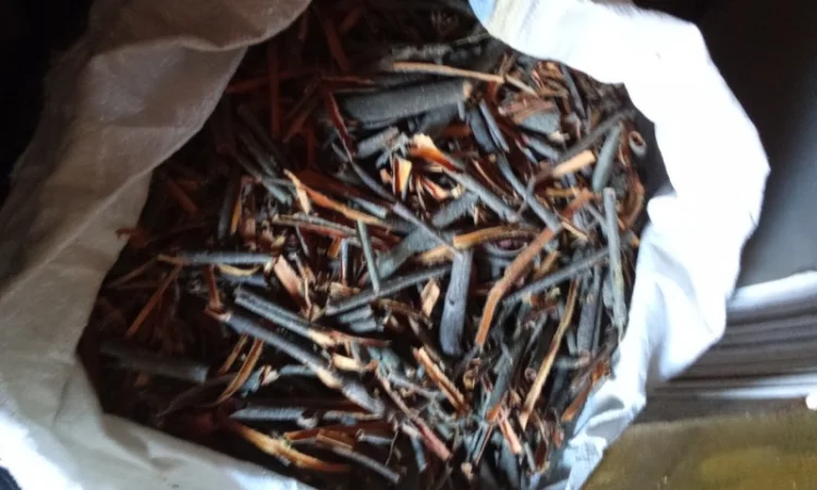 Продам оптом лікарські рослини від 1т - фото № 6