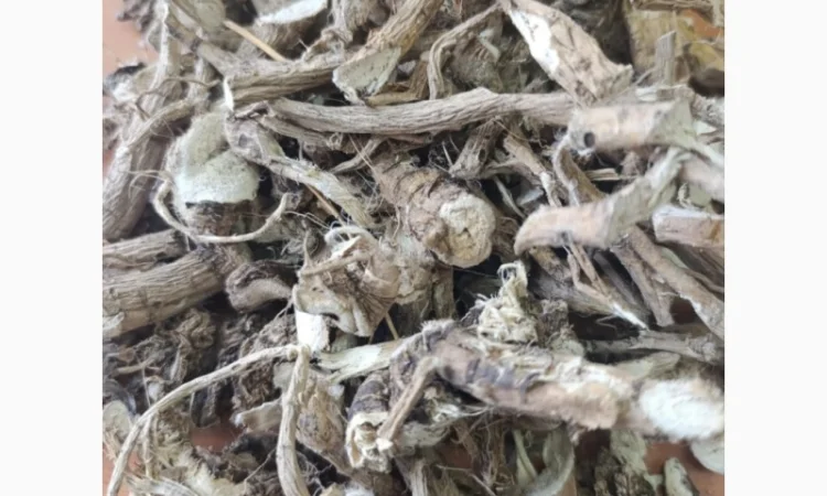 Куплю коріння - фото № 1