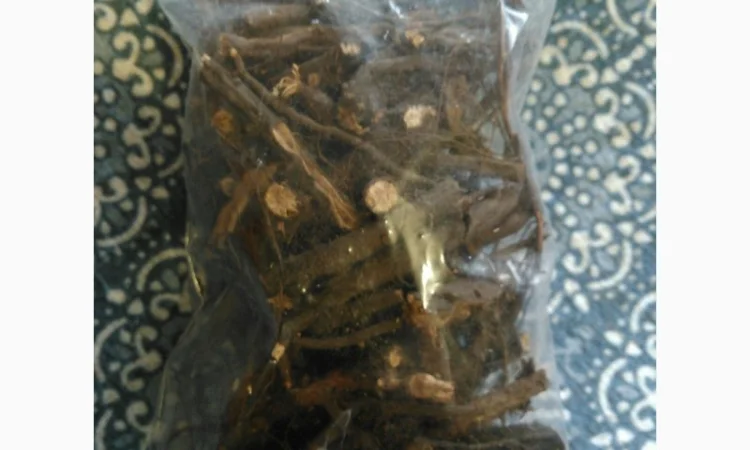 Лапчатка белая - корень - фото № 2