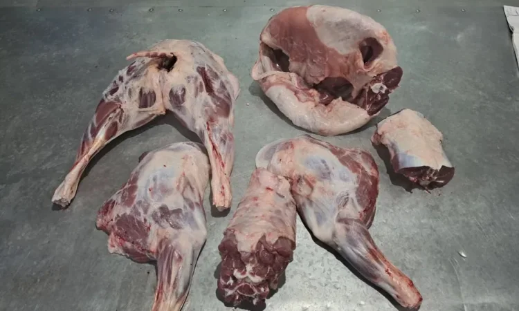 Свежая ягнятина, баранина и козятина – продажа тушек - фото № 1