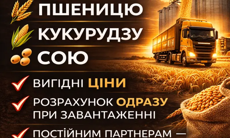 Купуємо зерно з поля та господарства - фото № 1