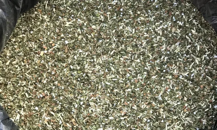 Продам махорку самосад - фото № 1