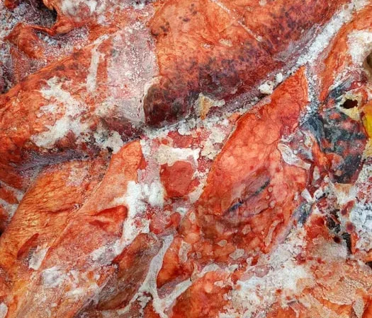 Субпродукти. Легені кінські та яловичі - фото № 1