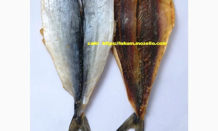 Риба Королевский Полосатик 1 кг. Премиум сушеная - фото № 4