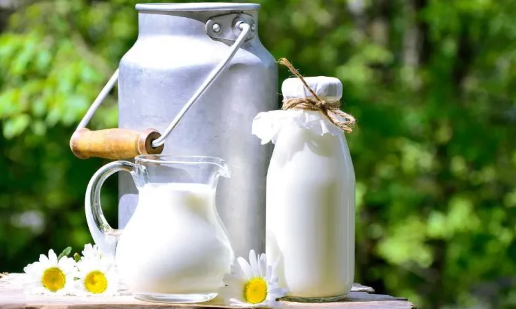 Продается коровье молоко экстра класса - фото № 1