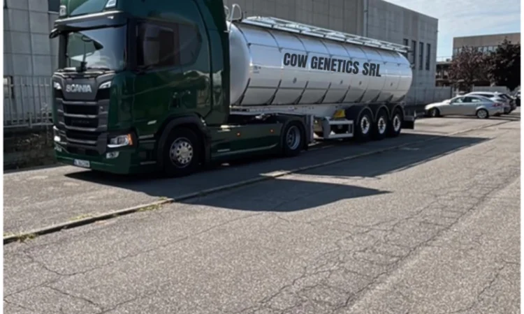 Закупівля пастеризованого молока в великих об'ємах від партнера з Румунії - фото № 1