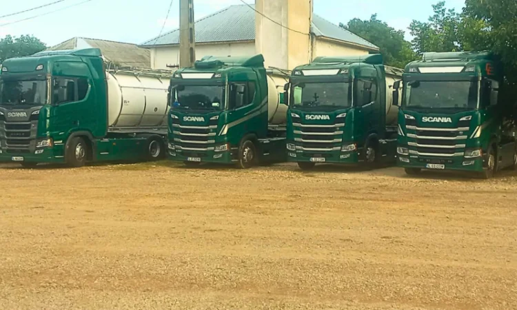 Закупівля пастеризованого молока в великих об'ємах від партнера з Румунії - фото № 3