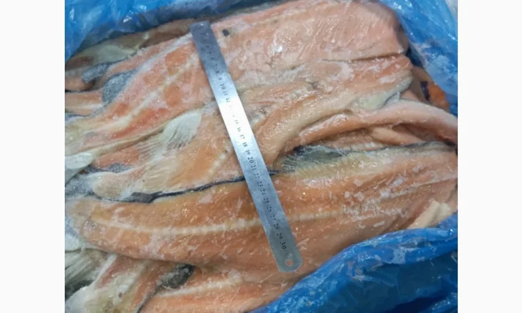 Продается хребет лосося по 70 грн за кг - фото № 1