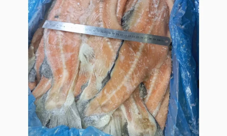 Продается хребет лосося по 70 грн за кг - фото № 3