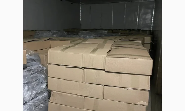 Свежемороженая хамса из Грузии - фото № 1