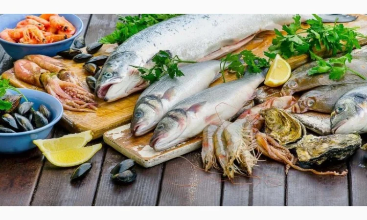 Закупка свежемороженой морской рыбы: скумбрия, сельдь и другие виды - фото № 1