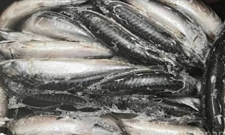 Шукаємо постачальника свіжомороженої риби - фото № 1