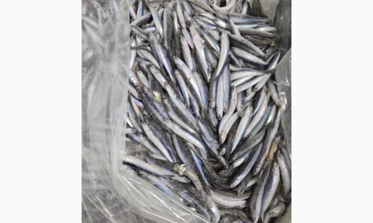 Продажа хамсы оптом - фото № 1