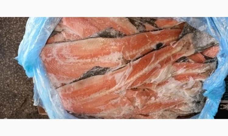 Продается хребет лосося свежезамороженный - фото № 1