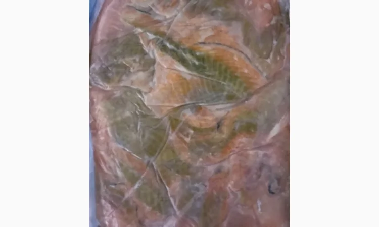 Продается обрезь лосося замороженная, блок 20 кг - фото № 1