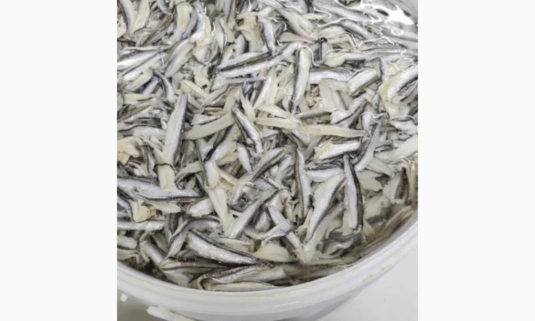 Продажа Черноморской Хамсы - фото № 4