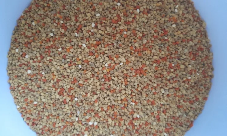 Пчелиный pollen 2025 года сбора - фото № 3