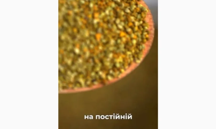 Купуємо натуральний бджолиний пилок оптом - фото № 1