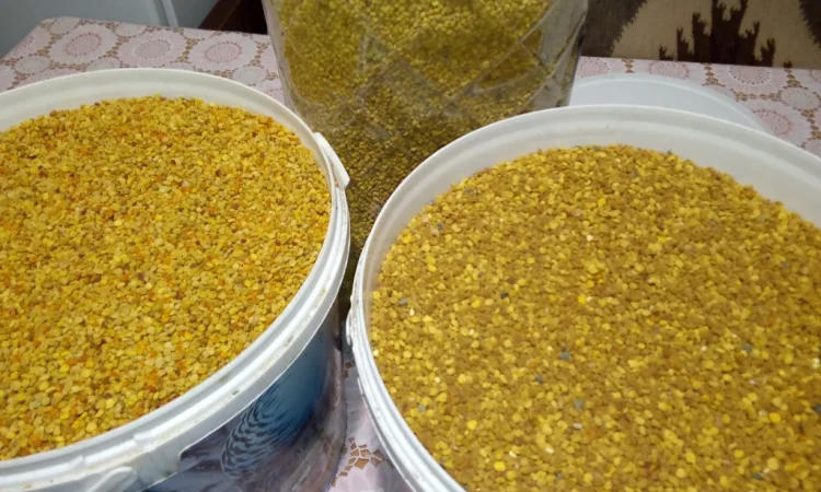 Продается натуральный пчелиный пыльца - фото № 2