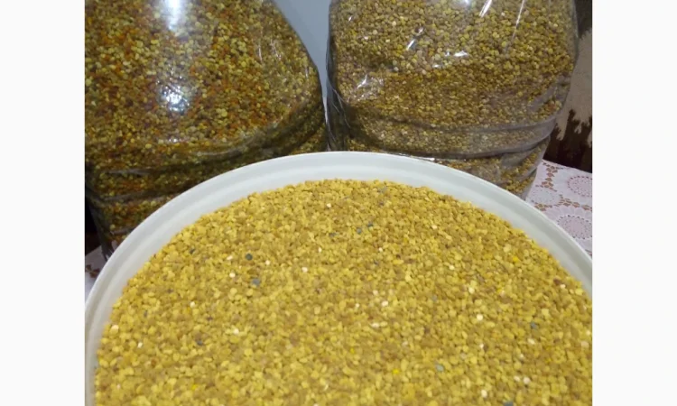 Продается натуральный пчелиный пыльца - фото № 3