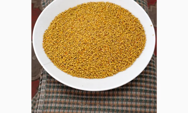 Пилок бджолиний в роздріб та оптом - фото № 1