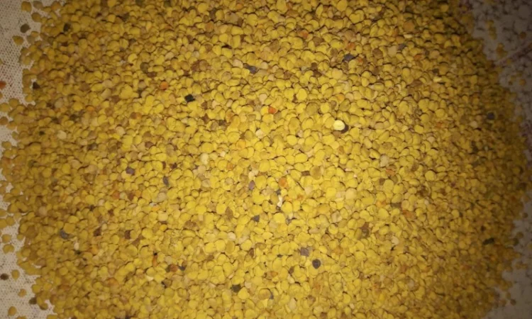 Продается пыльца пчелиная - фото № 1