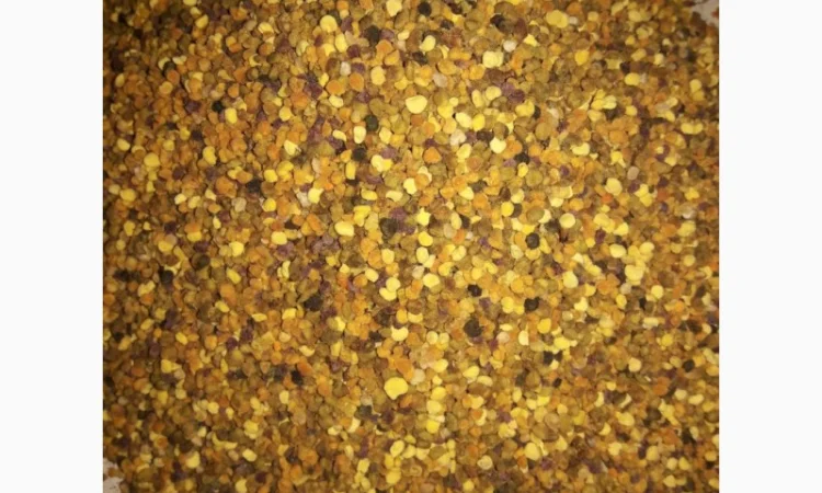 Продается пыльца пчелиная - фото № 2