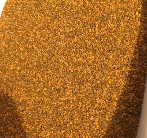 Закупаем цветочную пыльцу оптом - фото № 1