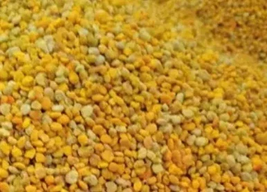 Квітковий пилок – 100 кг у продажу - фото № 1