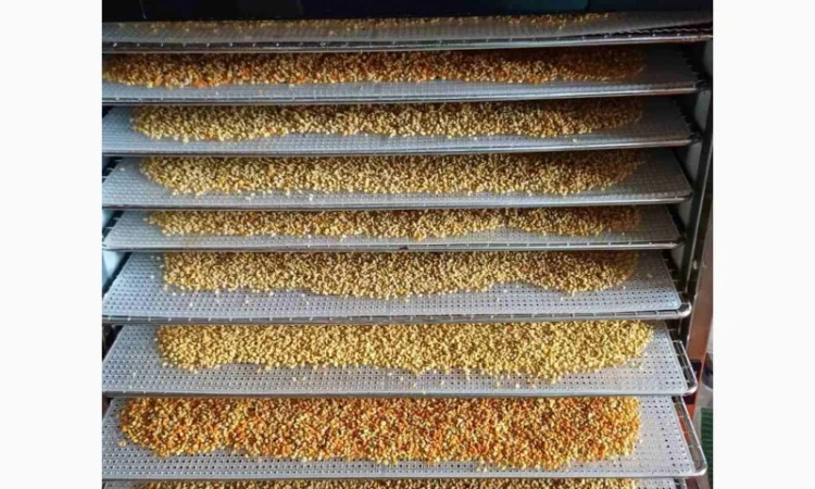 Пилок квітковий висушений - фото № 1