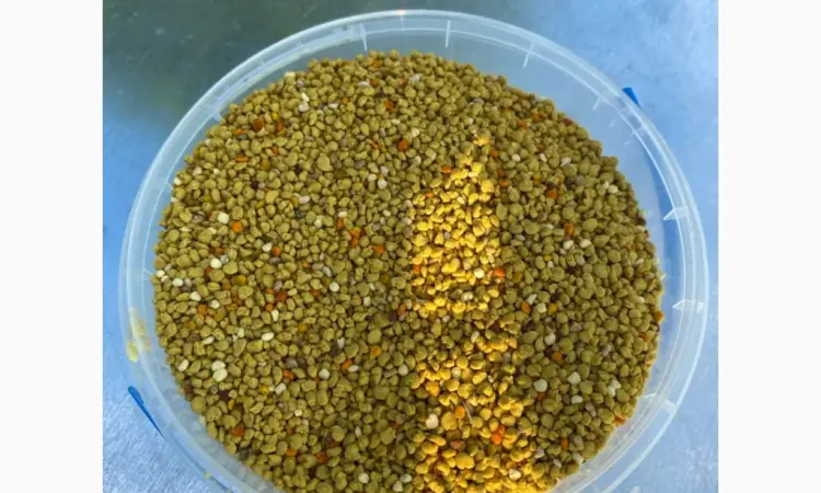 Купить пчелиный pollen - фото № 1