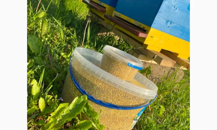 Пропонується бджолиний пилок від Медович - фото № 3